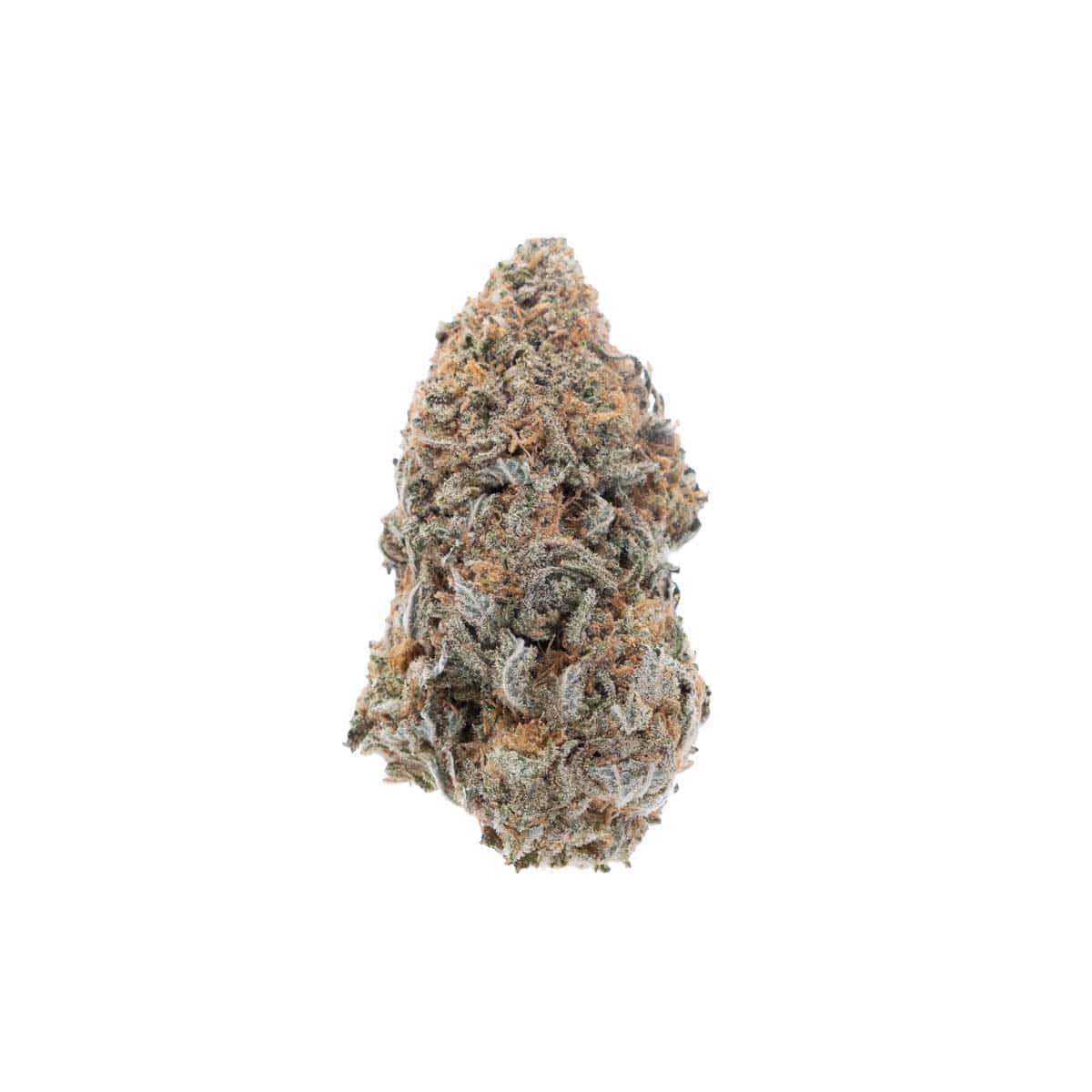 Mango Sherbert Hybrid