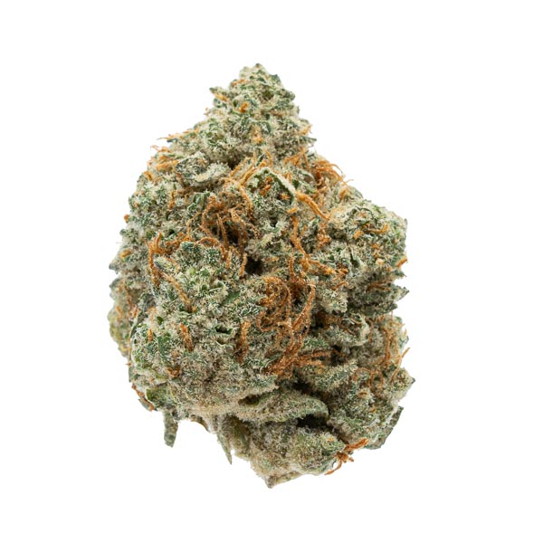 Moby Diesel 2