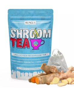 Mungus Ginger Turmeric Shroom Tea 1 Gram