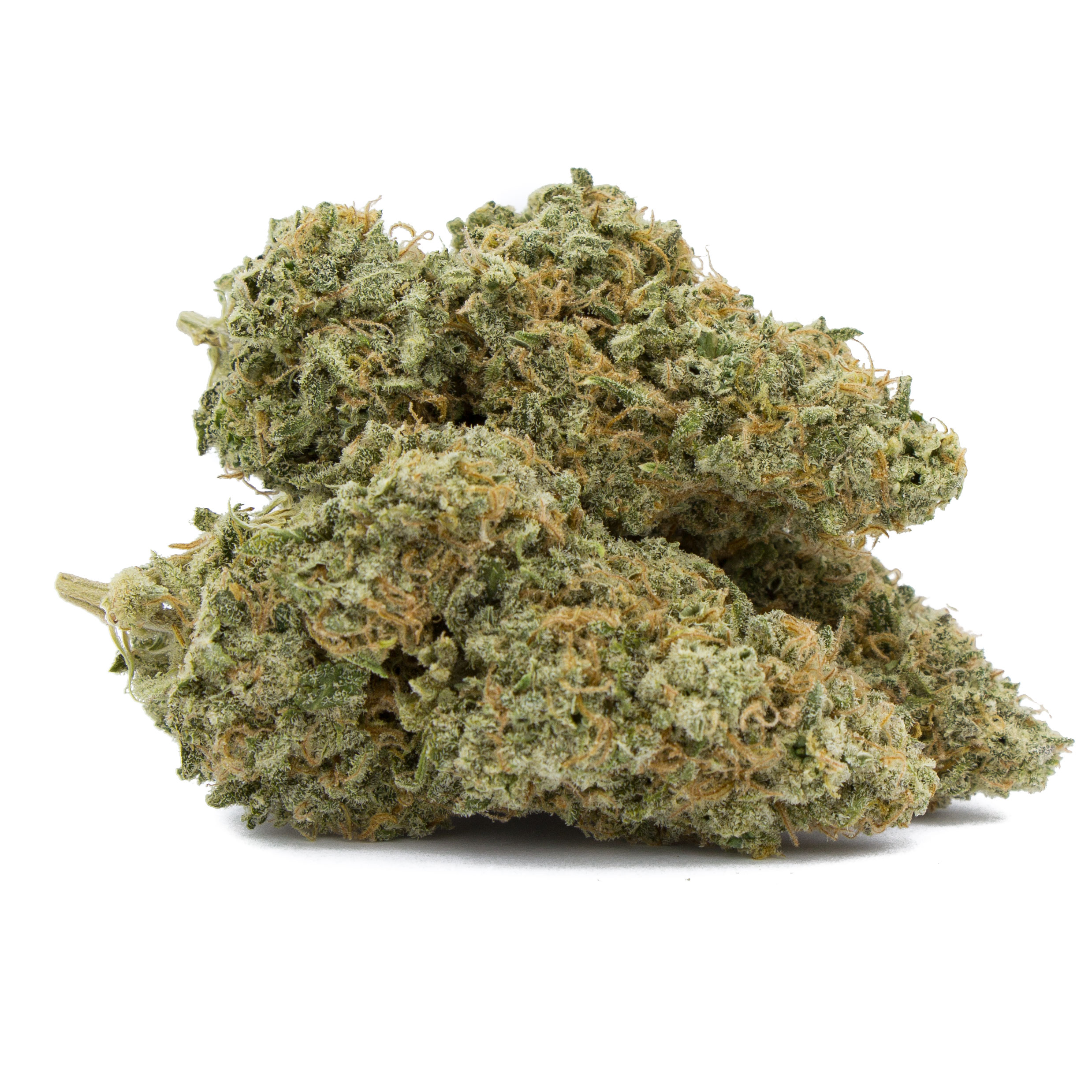 Strawberry Romulan 3