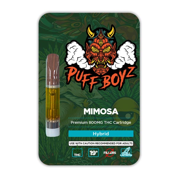 Mimosa (Hybrid)