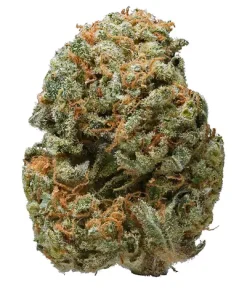 Alpha Blue Sativa
