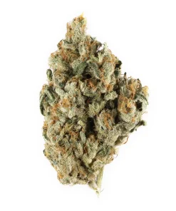 East Coast Sour Diesel Sativa