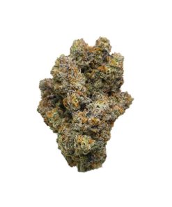 G Wagon Sativa