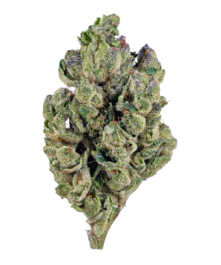 green lantern sativa