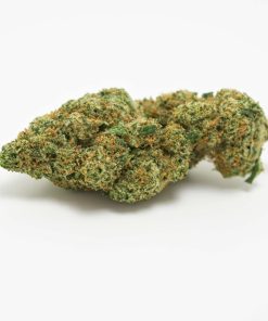 harlequin sativa