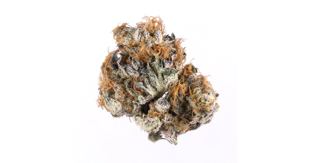 sativa