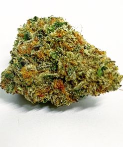 sunset sherbert hybrid